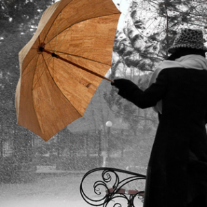 Parapluie en liège